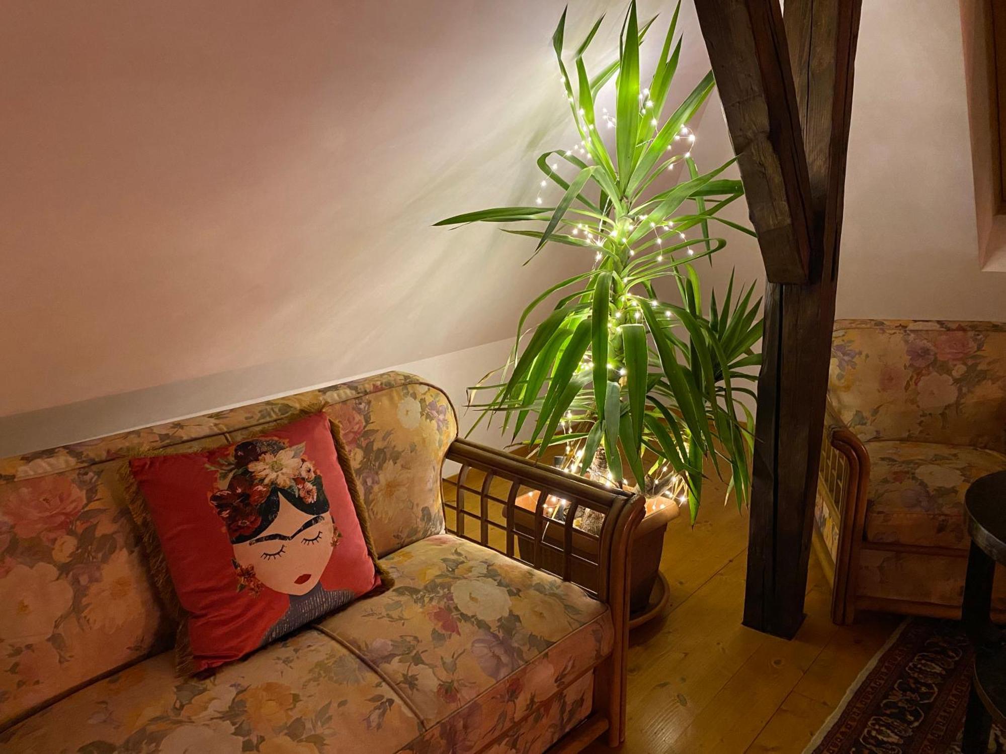 Rose'S Oldtown Apartment Braşov Exterior foto