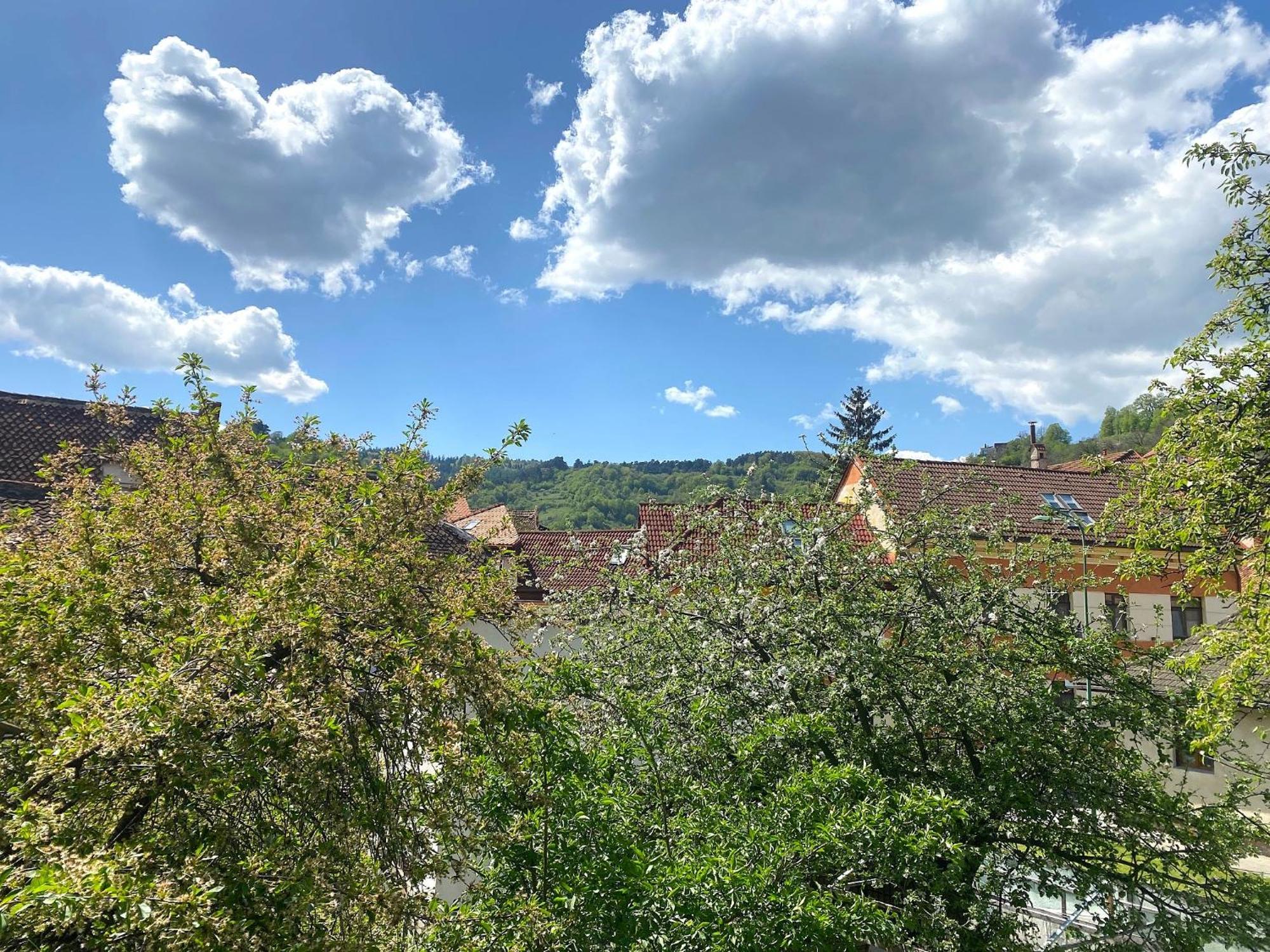 Rose'S Oldtown Apartment Braşov Exterior foto