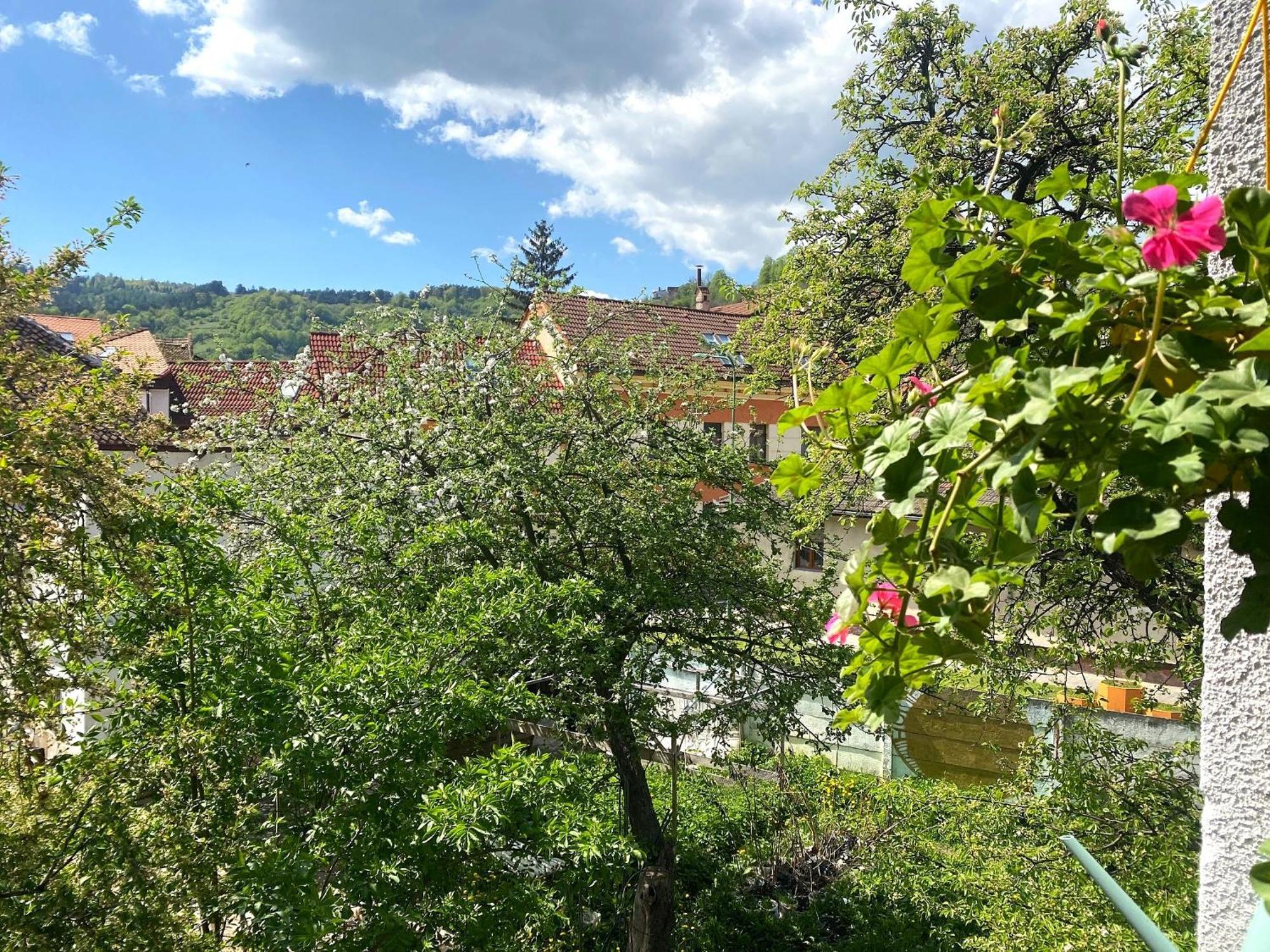 Rose'S Oldtown Apartment Braşov Exterior foto
